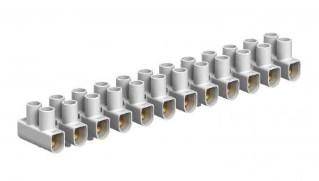 Řadové svorkovnice 6 mm², polypropylén 12 | 6 |  | 450 | bílá
