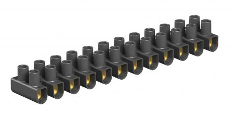 Řadové svorkovnice 10 mm², polypropylén 12 | 10 |  | 450 | černá